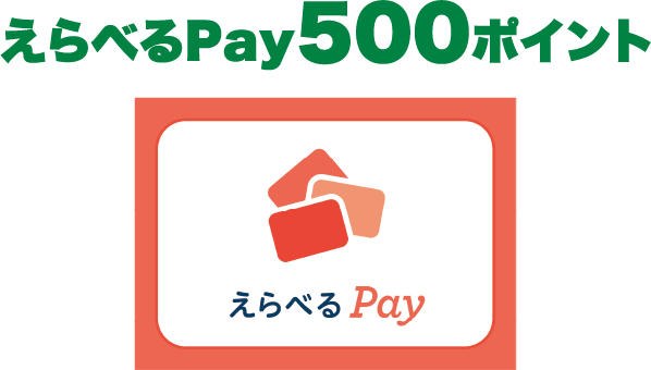 えらべるPay500ポイント