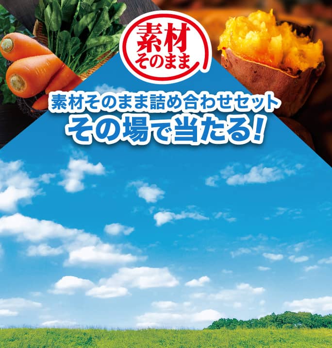 素材そのまま詰め合わせセットその場で当たる！