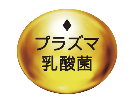 プラズマ乳酸菌