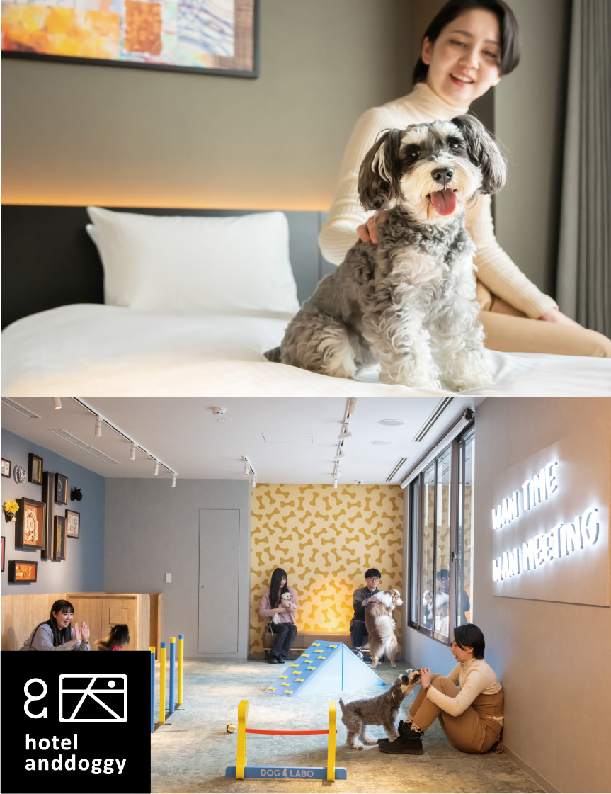 hotel and doggy