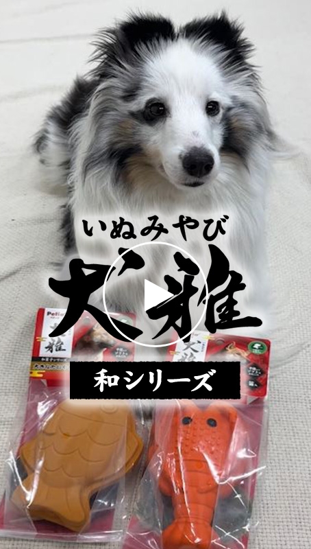 YouTubeショート動画を開く Petio｜犬雅 和菓子・和食おもちゃ