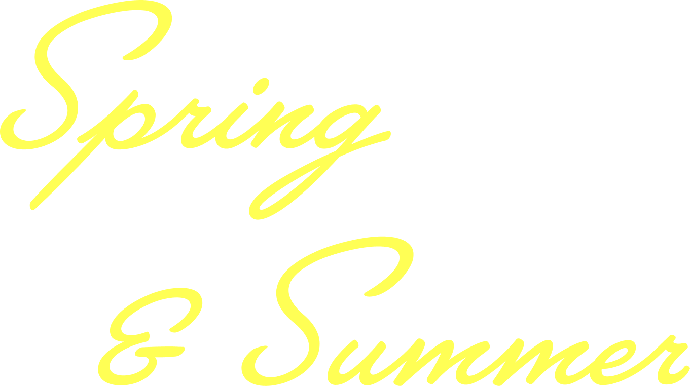 spring & summer